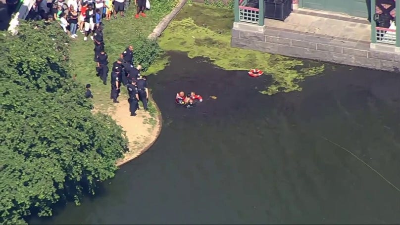 NYC larceny suspect jumps in lake in failed attempt to evade cops: police