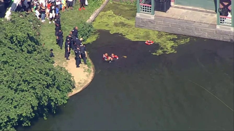 NYC larceny suspect jumps in lake in failed attempt to evade cops: police