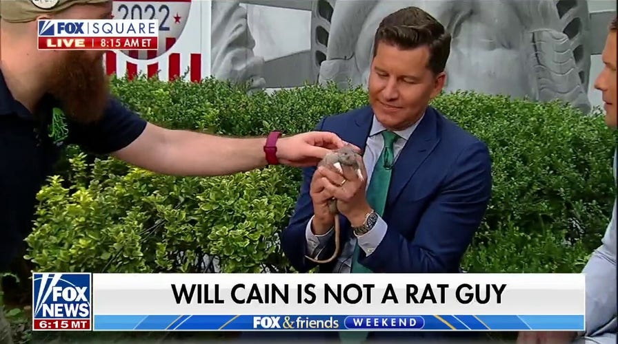 Will Cain faces his fear of rats