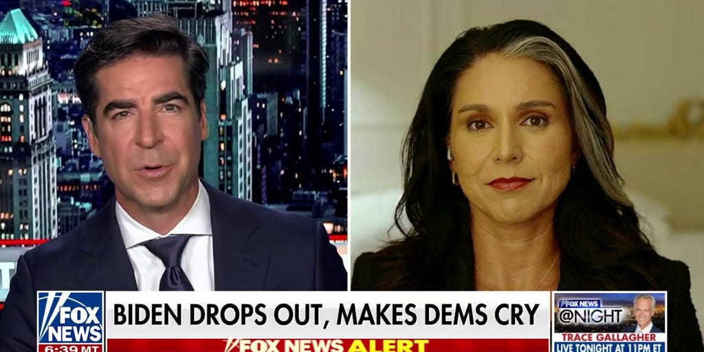 Tulsi Gabbard: Nothing else changes if Kamala Harris is the nominee | Fox News Video