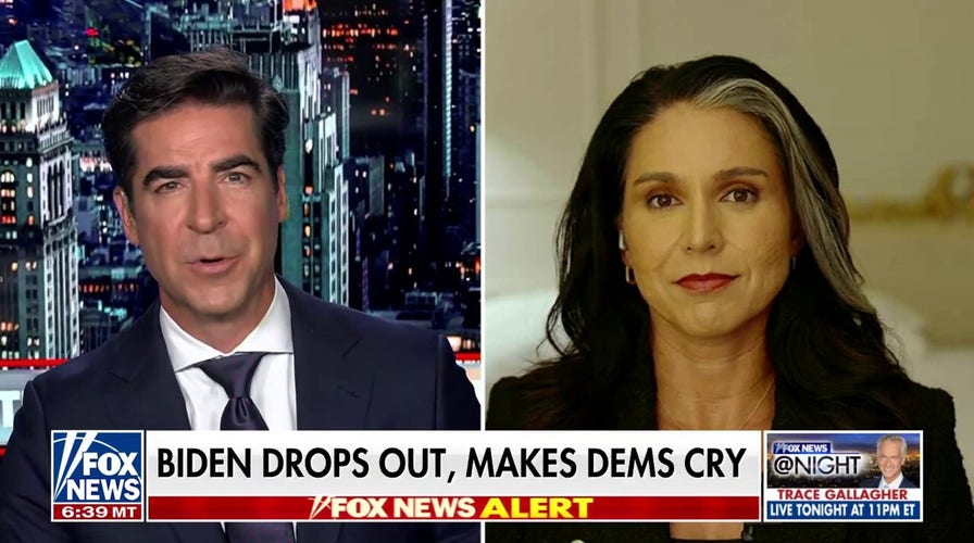 Tulsi Gabbard: Nothing else changes if Kamala Harris is the nominee