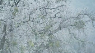 LIVE UPDATES: Biden declares disaster in TX, millions still on boil-water notices