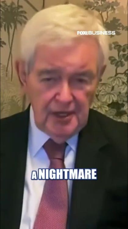A 2027 with the Dems in charge of Congress will be a 'nightmare,' Gingrich warns
