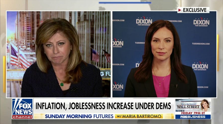 Biden, Michigan Gov. Whitmer 'in the same court' on energy policy: Tudor Dixon