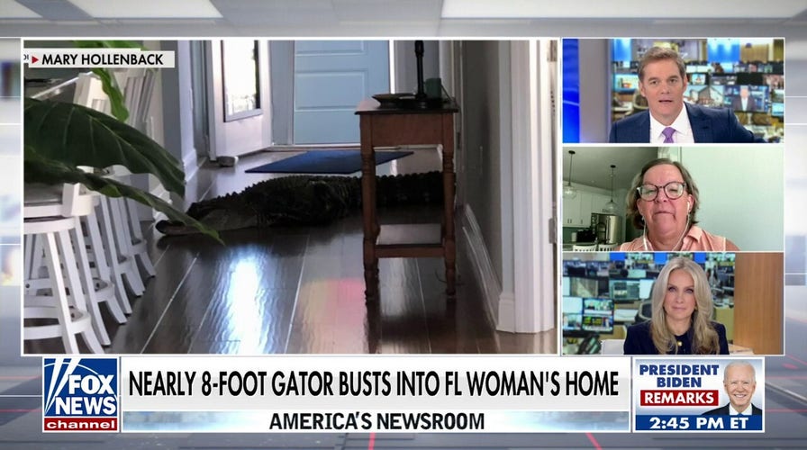 Nearly 8-foot alligator found in Florida woman's home