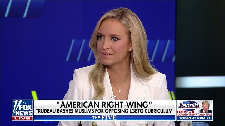 Kayleigh McEnany: The left always demonizes dissent