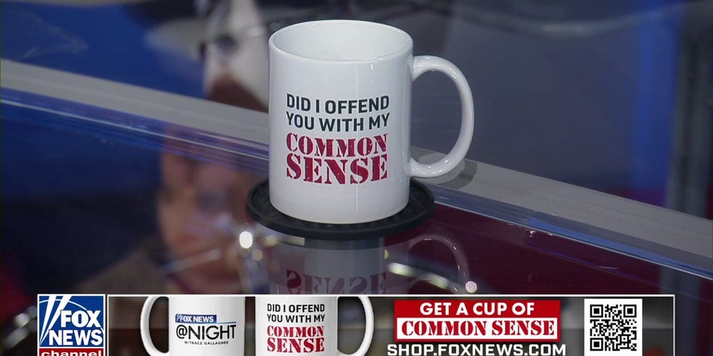 'Common Sense': Slotkin gave Democratic politics as usual on 'The View'