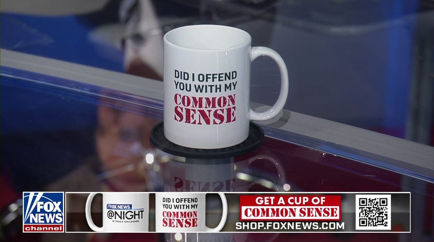 Common Sense: Slotkin gave Democratic politics as usual on The View