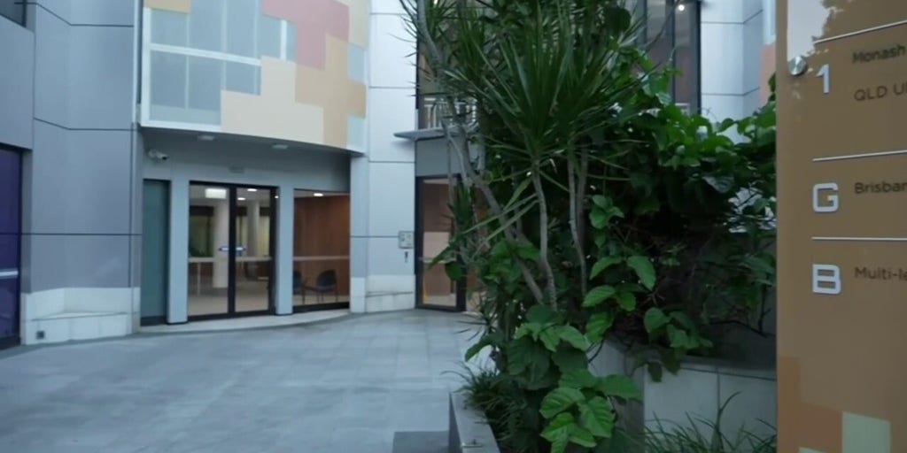 Australian IVF clinic in the spotlight after woman gives birth to another couple's embryo