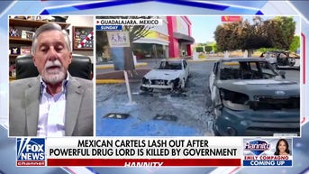 US must ‘push’ Mexican government to ‘take action’ against cartels - Fox News