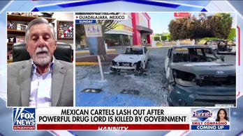 US must ‘push’ Mexican government to ‘take action’ against cartels, retired DEA agent says