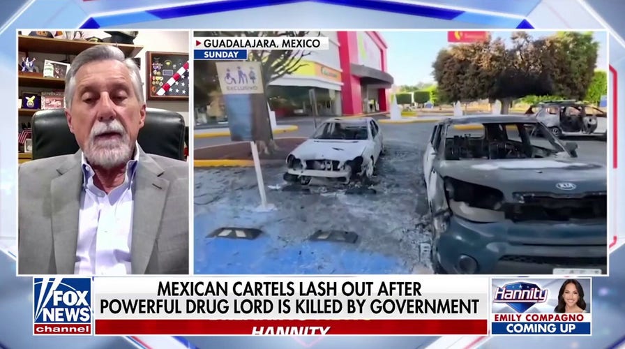 US must ‘push’ Mexican government to ‘take action’ against cartels, retired DEA agent says