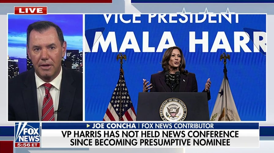 Kamala Harris slammed for avoiding press since becoming presumptive nominee: 'Plead the fifth'