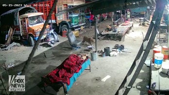 Leopard sneaks into garage, steals man's dog in shocking video