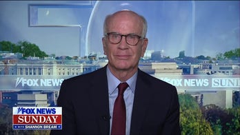 Blue state senator says shutdown standoff ‘really about health care, not illegals’