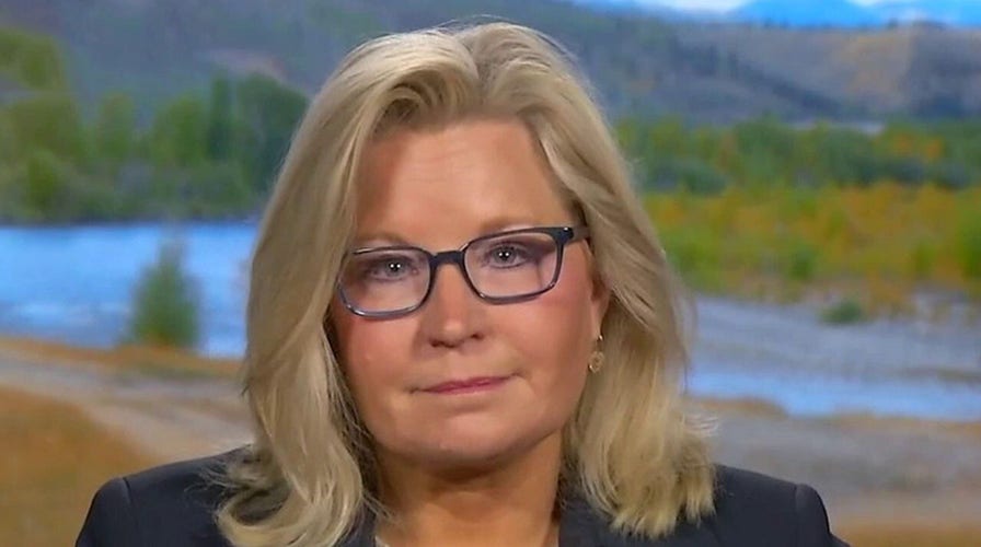 Rep. Cheney: If the Democrats prevail we will not have an economic recovery