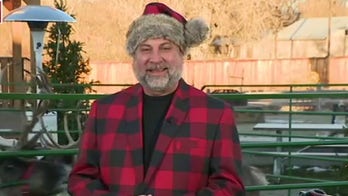 Colorado brewery to deliver beer by reindeer 