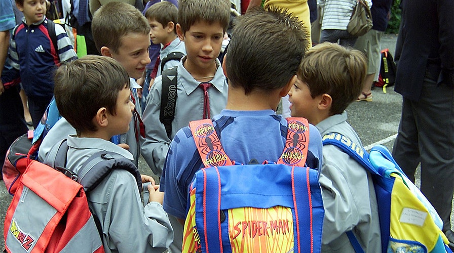 Are bans on roughhousing actually bad for kids? 