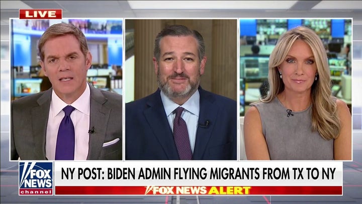 Ted Cruz: Biden admin needs to 'face the disaster' of their border policies