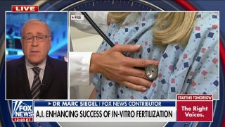 AI can help fertility doctors, enhance in-vitro fertilization - Fox News
