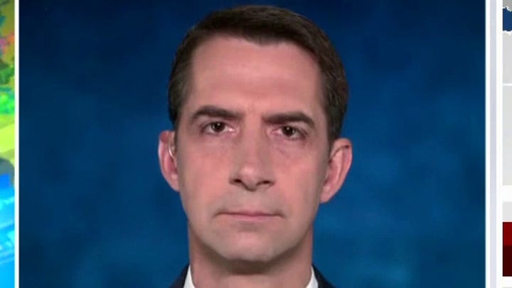 Sen. Cotton: Repercussions from Afghanistan crisis will 'reverberate for many years to come' 