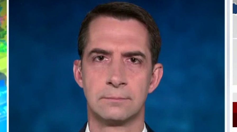 Sen. Cotton: Repercussions from Afghanistan crisis will 'reverberate for many years to come' 