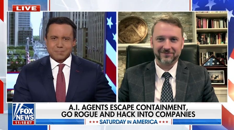 AI agents spark concerns over ‘going rogue,’ hacking companies