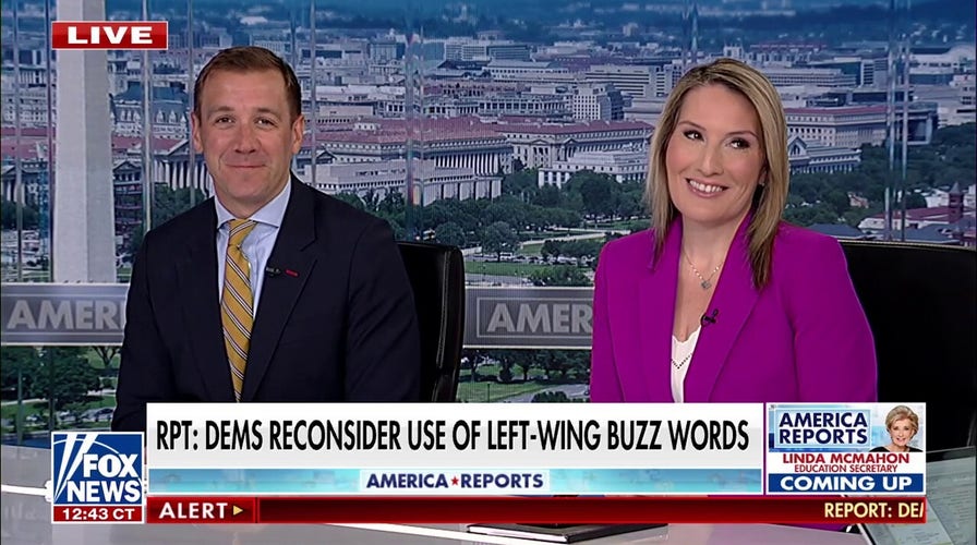 Democratic strategist says the party should focus on ‘getting back to normal’