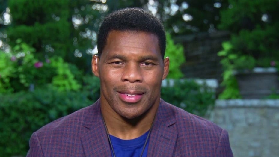 'What’s the end game?' Herschel Walker responds to NFL protests