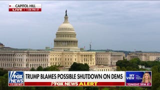 Rep. Lisa McClain calls out 'radical Democrats' as shutdown looms