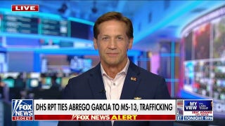 GOP rep calls out Dems for ‘choosing their words’ on Abrego Garcia case