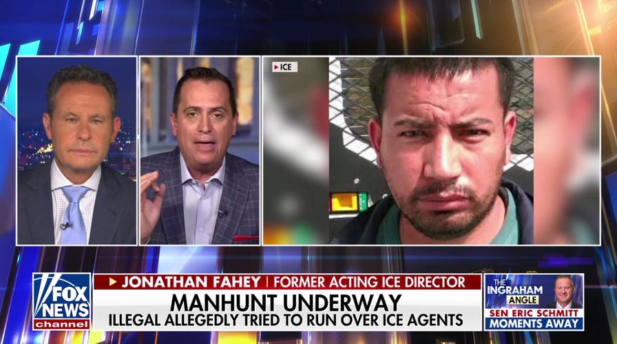 ‘Illegal alien criminals’ must be Dems’ most important constituents says former ICE director