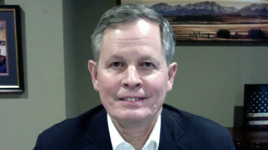 Sen. Daines on COVID-19 relief bill, Biden cabinet nominations