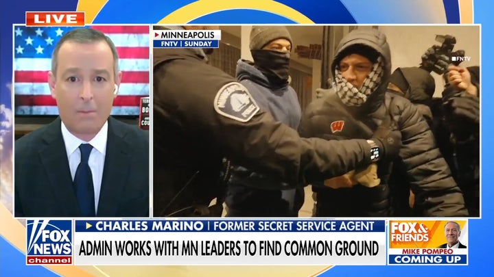 New video appears to show Alex Pretti clash with federal agents before deadly shooting