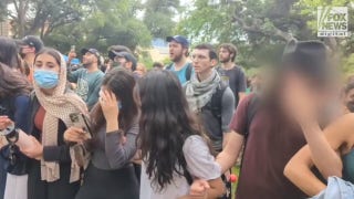 Anti-Israel protesters at UT Austin shout 'pigs go home' as state troopers move in to clear demonstrations - Fox News