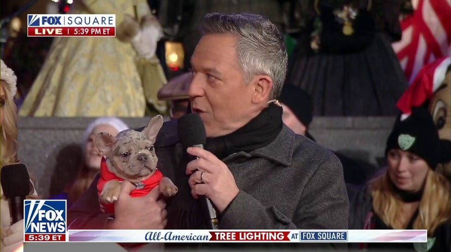 Meet Gus, Greg’s first ever puppy