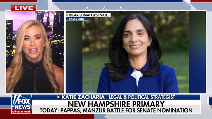 New Hampshire primary: DSA faces latest test in Democratic Senate race