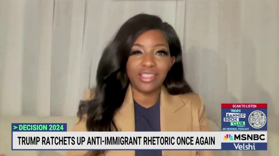 Dem representative: Its the MAGA gang, not migrants, terrorizing cities