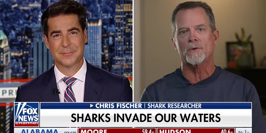 Look them right in the eye?: Jesse Watters gets shark attack defense tips
