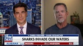 Look them right in the eye?: Jesse Watters gets shark attack defense tips