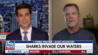 Look them right in the eye?: Jesse Watters gets shark attack defense tips