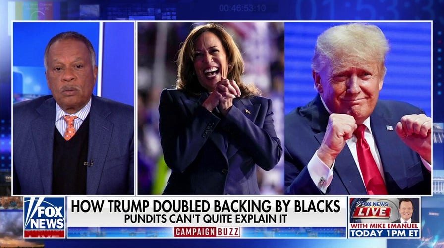 Media admits the Democratic Party is too 'woke' after Kamala Harris' 2024 loss