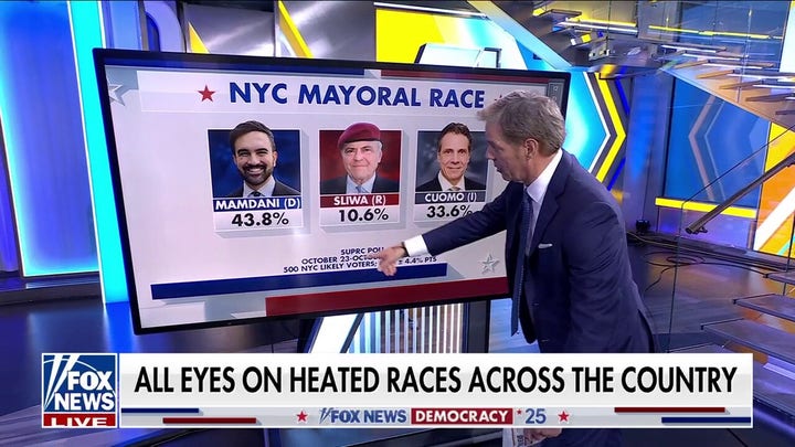 Zohran Mamdani leads the polls in NYC mayoral race 