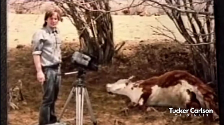 Coming this week on Fox Nation: 'Tucker Carlson Originals' explores unsolved cattle crime spree