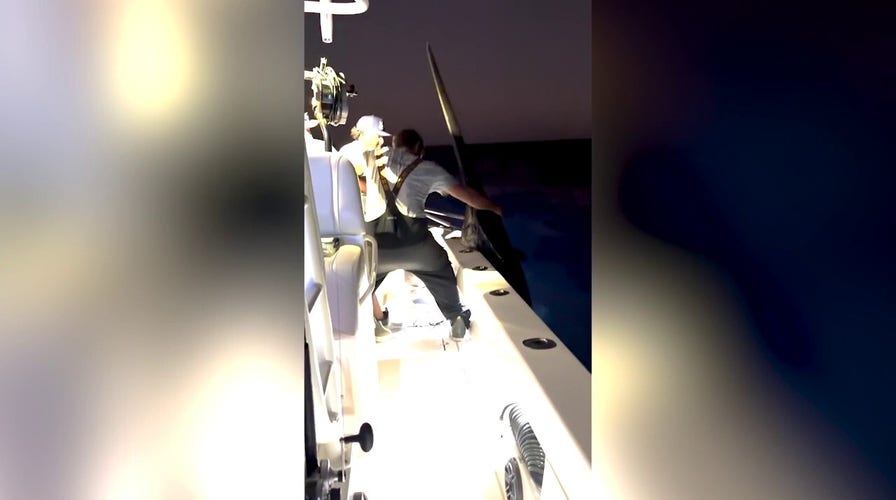 Massive swordfish weighing astir   500 pounds caught during Florida Keys trip