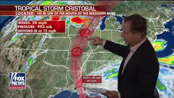 Tropical Storm Cristobal set to make landfall in Louisiana