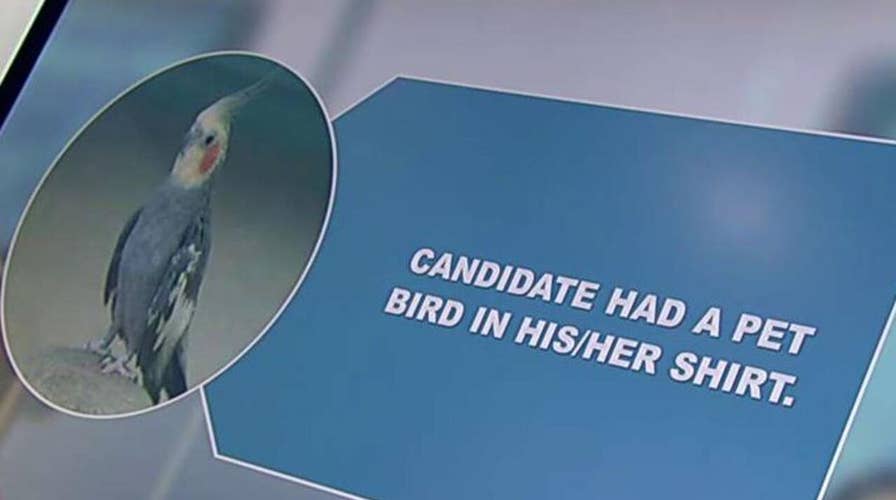 Bizarre examples of what not to do in a job interview