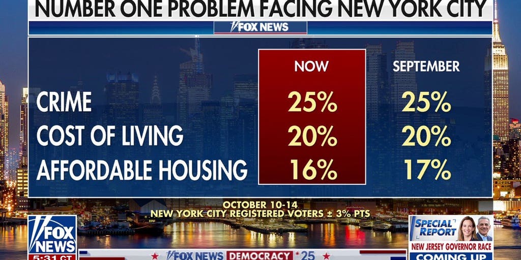 Zohran Mamdani surges in new Fox poll as New York mayoral race tightens ...