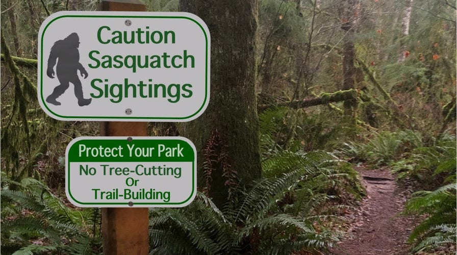 Sasquatch watch: Bigfoot 'sightings' over the years