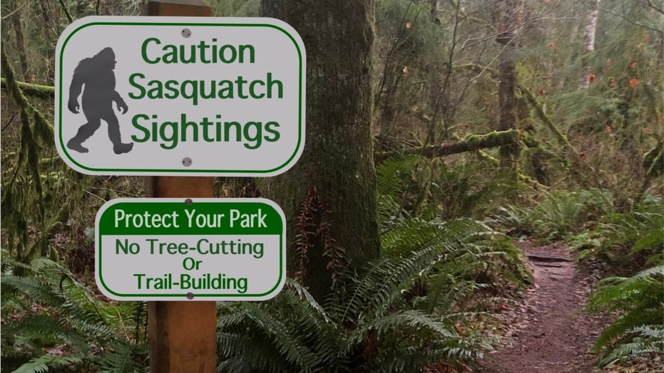 Sasquatch Watch Bigfoot Sightings Over The Years Fox News   Image 